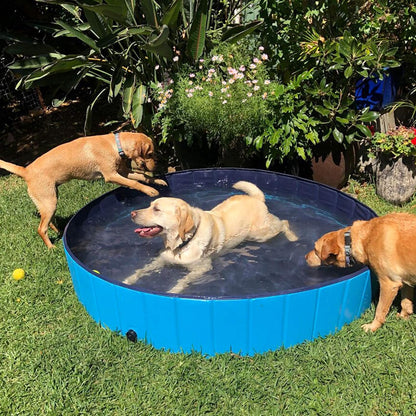 Dog Pool Foldable Pet Outdoor Swimming Pool Collapsible Anti-Slip Hard PVC Pet Paddling Bathtub for Large and Xtra Large Dogs, Kids, Pets